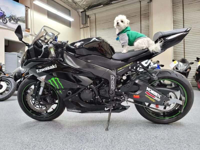 2009 Kawasaki Ninja ZX6R MONSTER EDITION