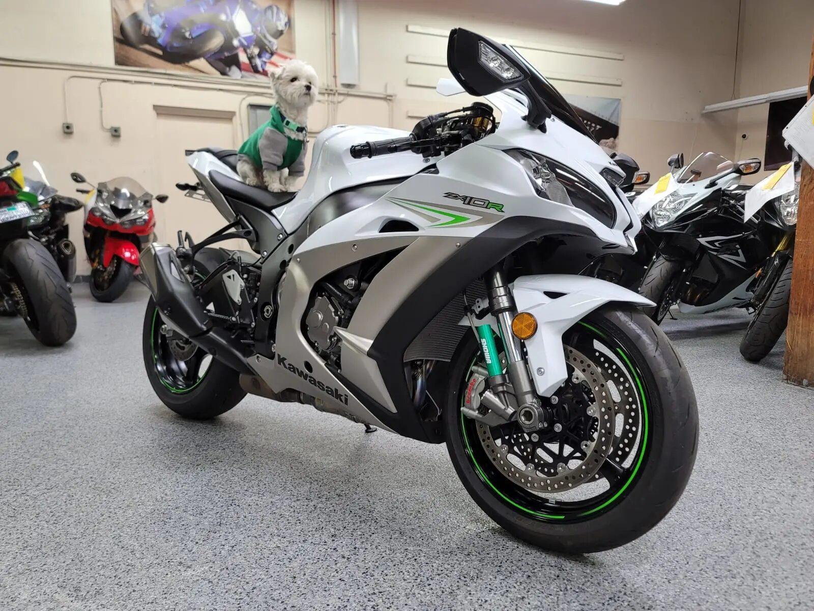 2017 Kawasaki Ninja ZX10R - AK MotorsAK Motors