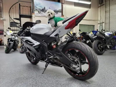 2012 Yamaha R6 RAVEN