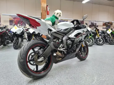 2012 Yamaha R6 RAVEN