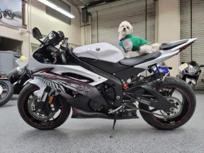 2012 Yamaha R6 RAVEN