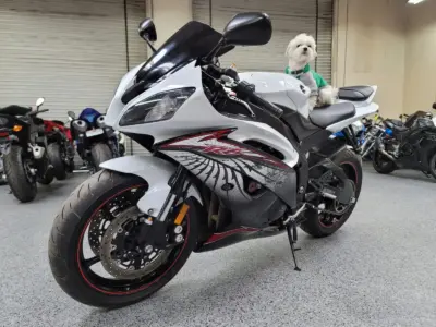2012 Yamaha R6 RAVEN