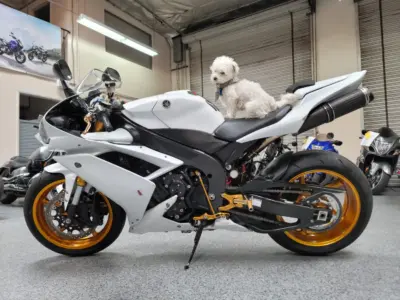 2008 Yamaha R1