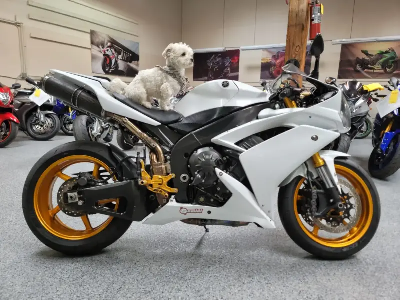 2008 Yamaha R1