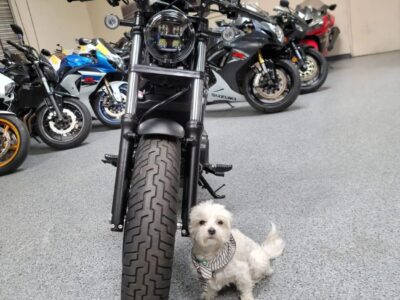 2020 Honda Rebel 500