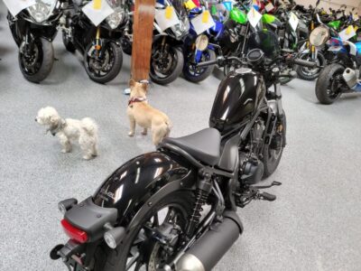 2020 Honda Rebel 500