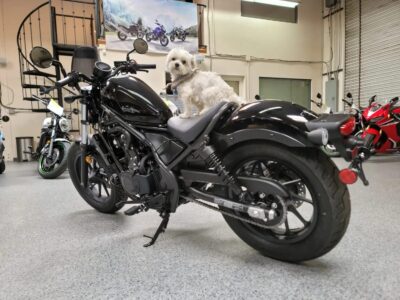 2020 Honda Rebel 500