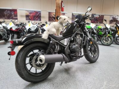 2020 Honda Rebel 500
