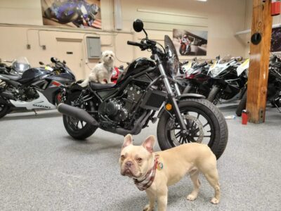 2020 Honda Rebel 500