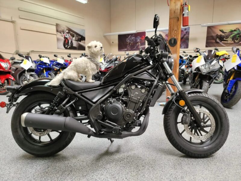 2020 Honda Rebel 500