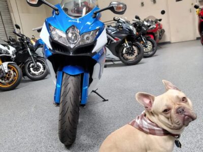 2009 Suzuki GSXR 750