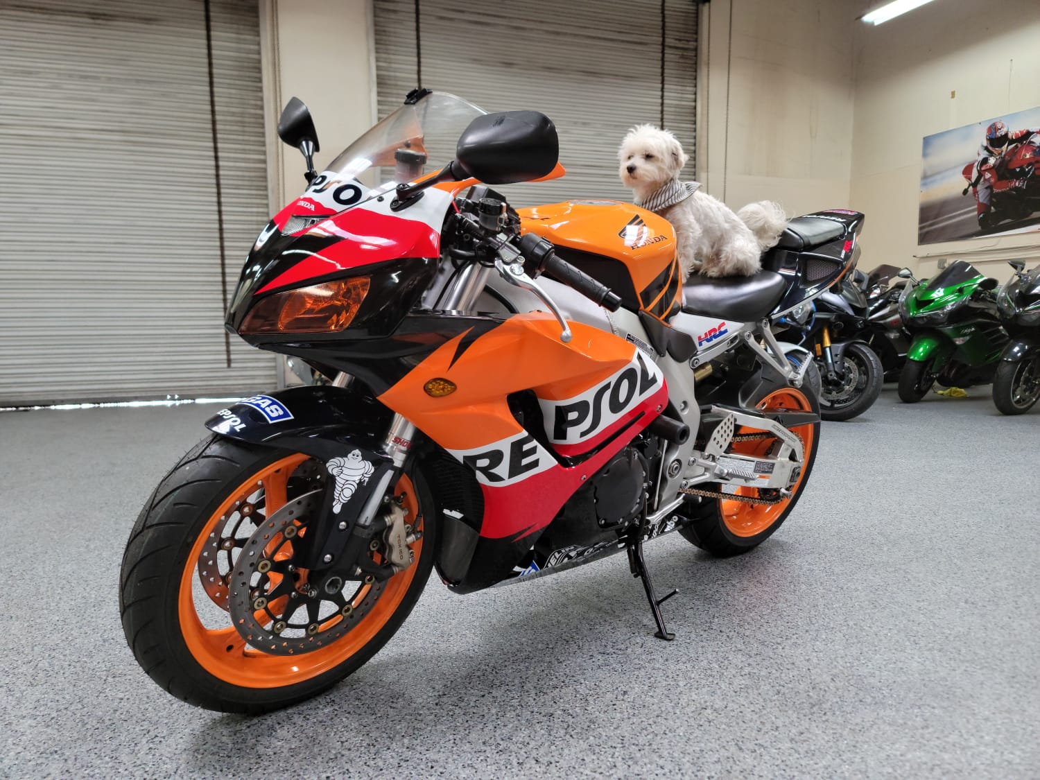 2007 Honda CBR1000RR REPSOL EDITION AK Motors