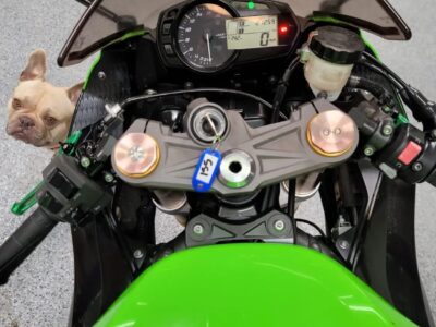2013 Kawasaki Ninja 636 ZX6R