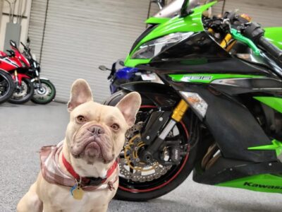 2013 Kawasaki Ninja 636 ZX6R