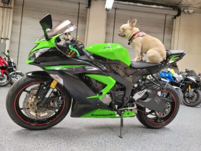 2013 Kawasaki Ninja 636 ZX6R