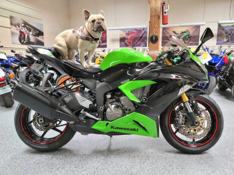 2013 Kawasaki Ninja 636 ZX6R