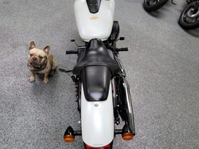 2019 Honda Shadow Phantom