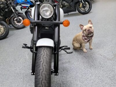 2019 Honda Shadow Phantom