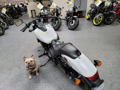 2019 Honda Shadow Phantom