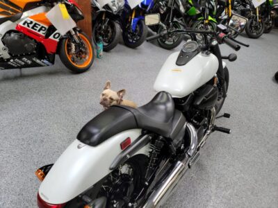 2019 Honda Shadow Phantom