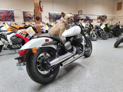 2019 Honda Shadow Phantom