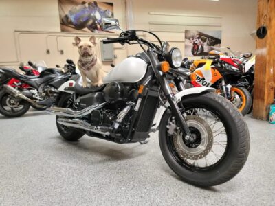 2019 Honda Shadow Phantom