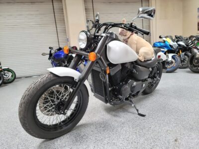 2019 Honda Shadow Phantom