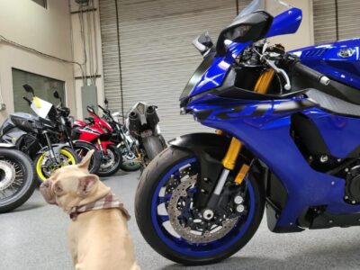 2018 Yamaha R1