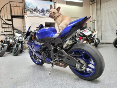 2018 Yamaha R1