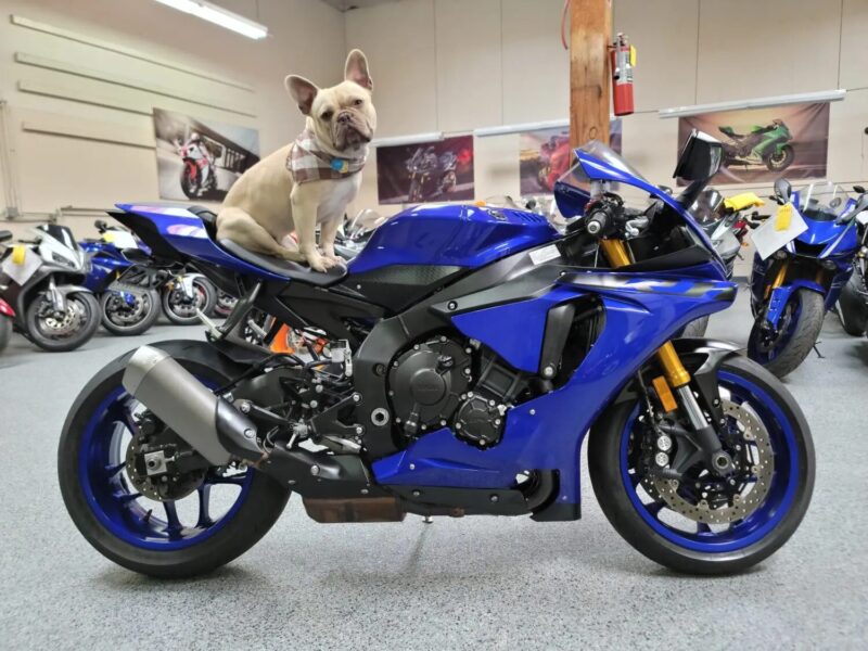 2018 Yamaha R1