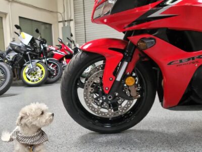 2009 Honda CBR600RR ABS