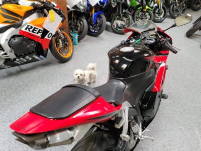 2009 Honda CBR600RR ABS