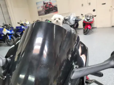 2013 Suzuki GSXR 1000