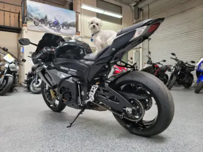 2013 Suzuki GSXR 1000