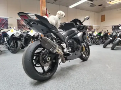 2013 Suzuki GSXR 1000