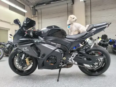 2013 Suzuki GSXR 1000