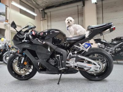 2015 Honda CBR600RR