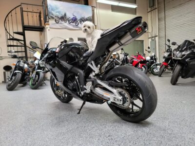 2015 Honda CBR600RR
