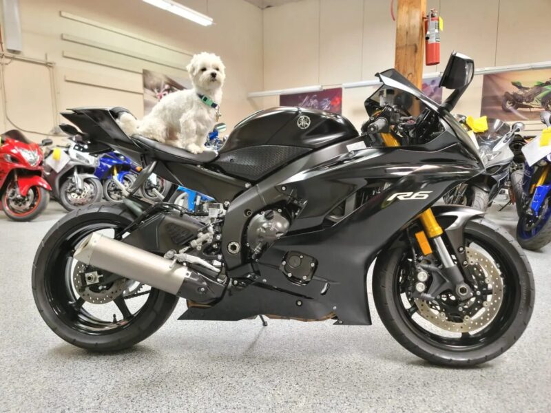 2017 Yamaha R6