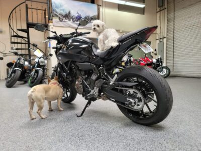 2016 Yamaha FZ07 FZ-07