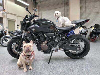 2016 Yamaha FZ07 FZ-07