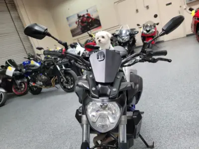 2016 Yamaha FZ07 FZ-07