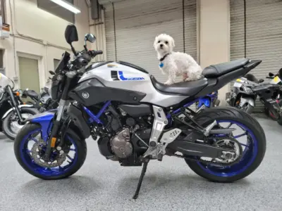 2016 Yamaha FZ07 FZ-07