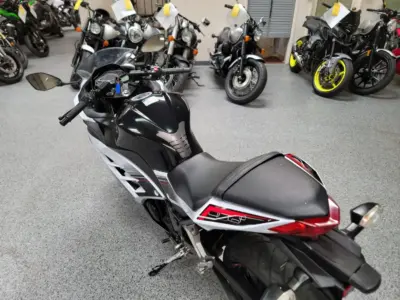 2014 Kawasaki Ninja 300 SPECIAL EDITION