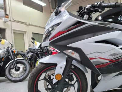 2014 Kawasaki Ninja 300 SPECIAL EDITION