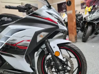2014 Kawasaki Ninja 300 SPECIAL EDITION