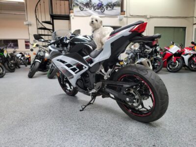 2014 Kawasaki Ninja 300 SPECIAL EDITION