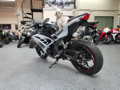 2014 Kawasaki Ninja 300 SPECIAL EDITION