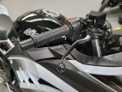 2014 Kawasaki Ninja 300 SPECIAL EDITION