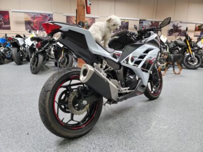 2014 Kawasaki Ninja 300 SPECIAL EDITION